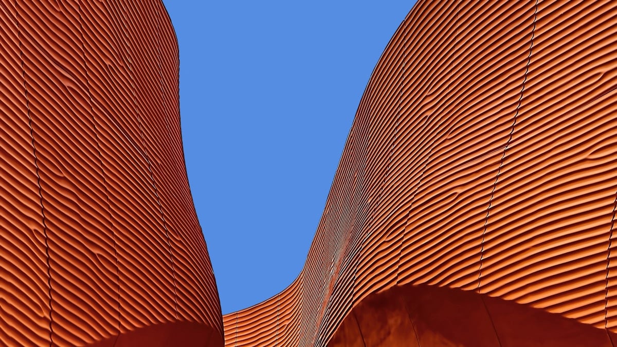 Interior de uma adega profissional com prateleiras de madeira e garrafas de vinho selecionadas